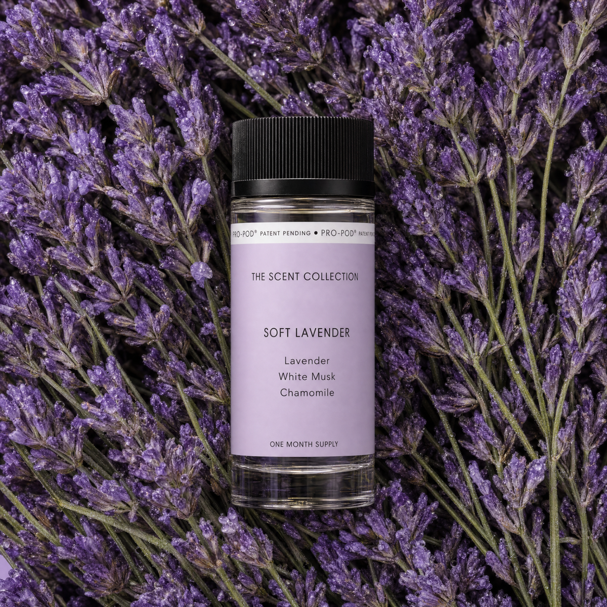 Soft Lavender