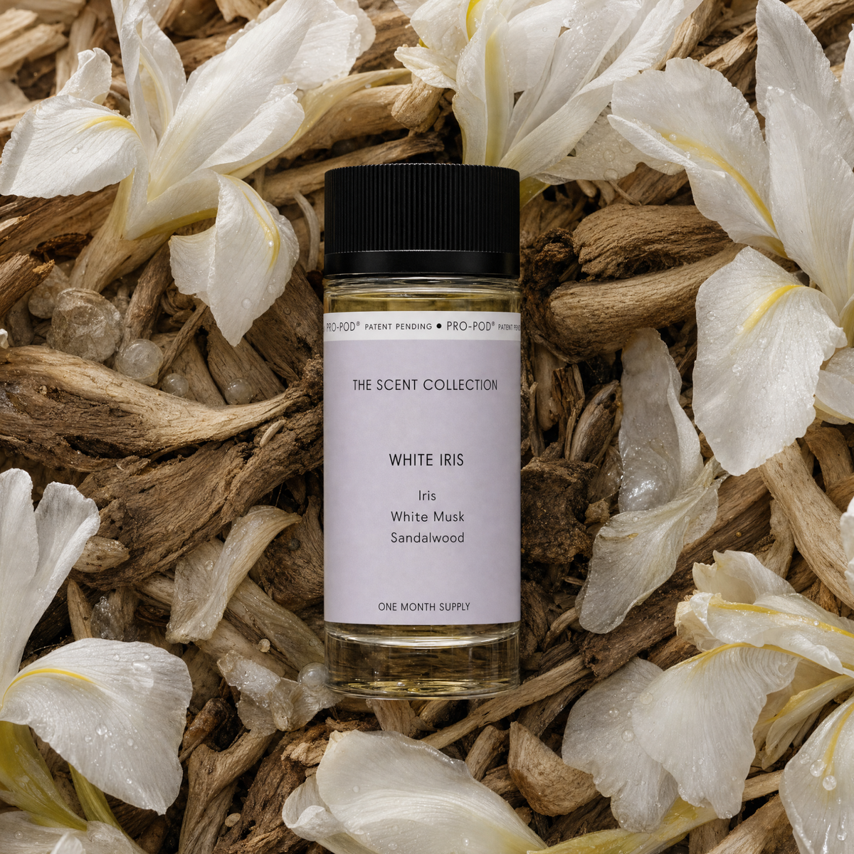White Iris