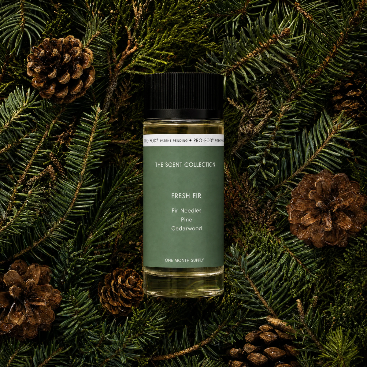 Fresh Fir
