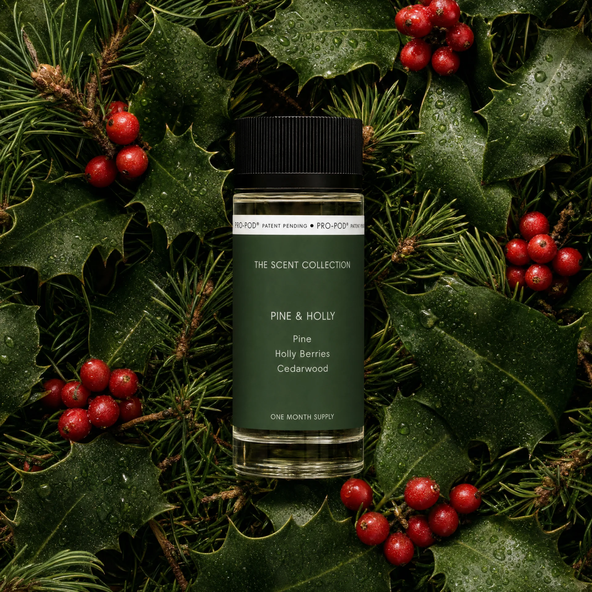 Pine & Holly