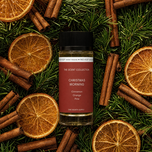 Christmas Morning