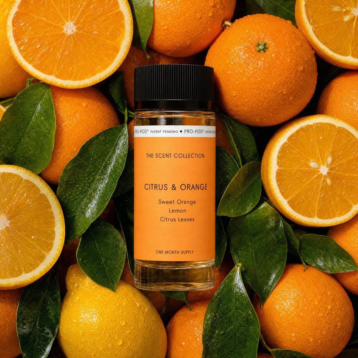 Citrus & Orange