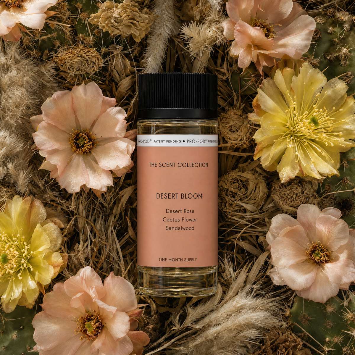 Desert Bloom