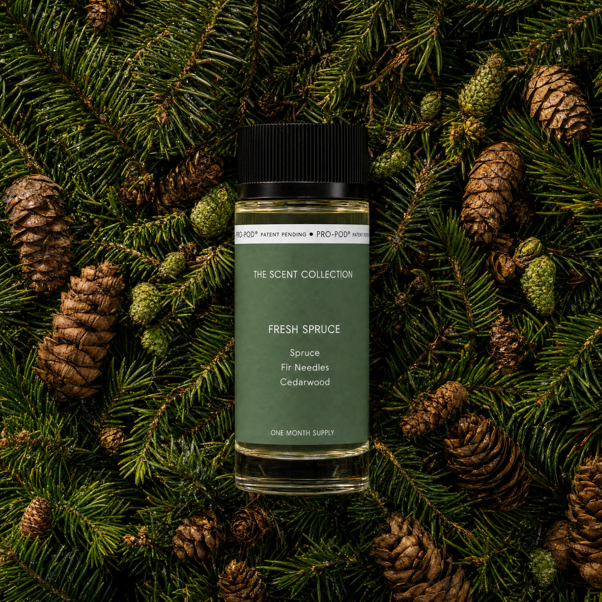 Fresh Spruce