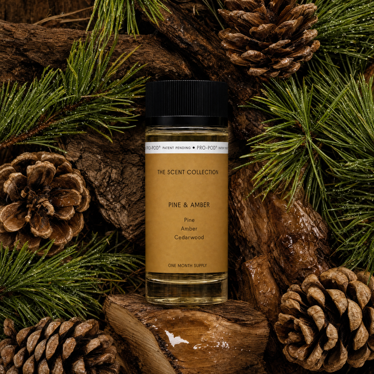Pine & Amber