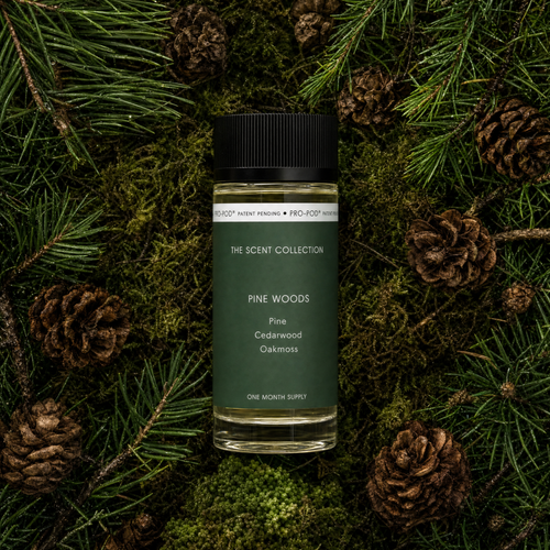Pine Woods