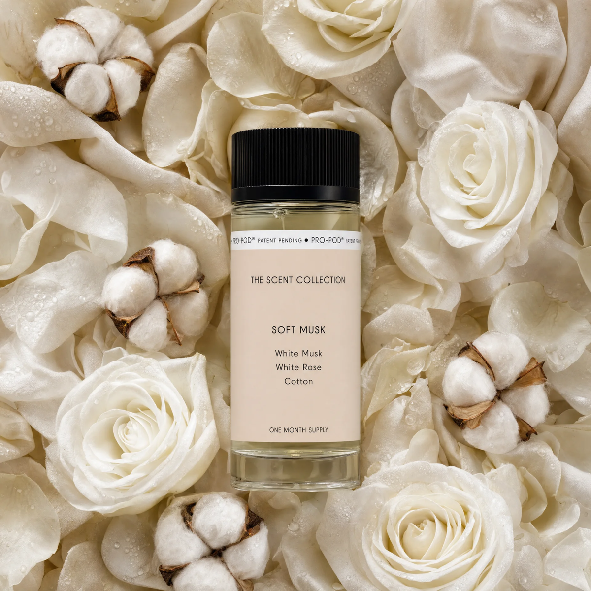 Soft Musk