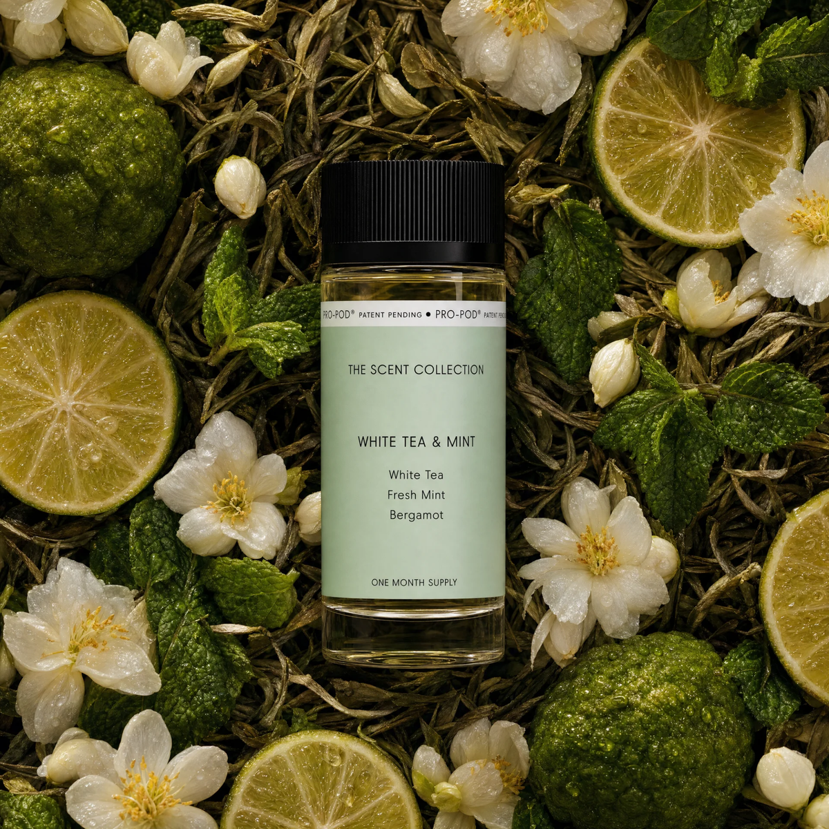 White Tea & Mint