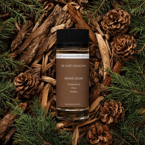 Winter Cedar