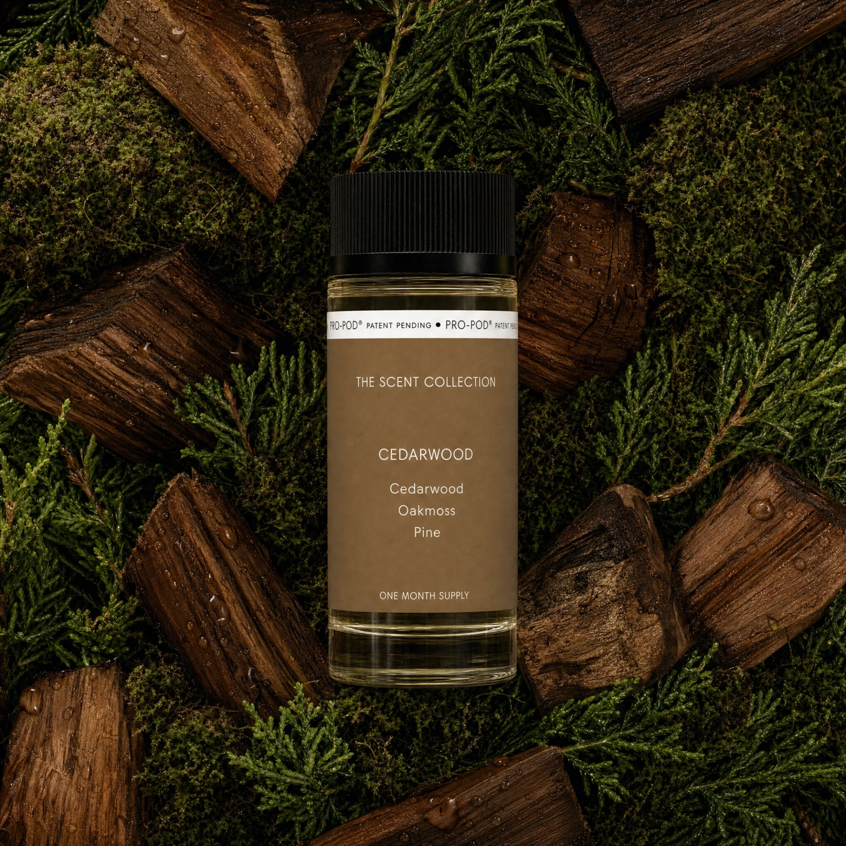 Cedarwood