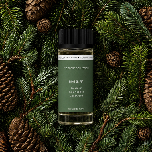 Fraser Fir
