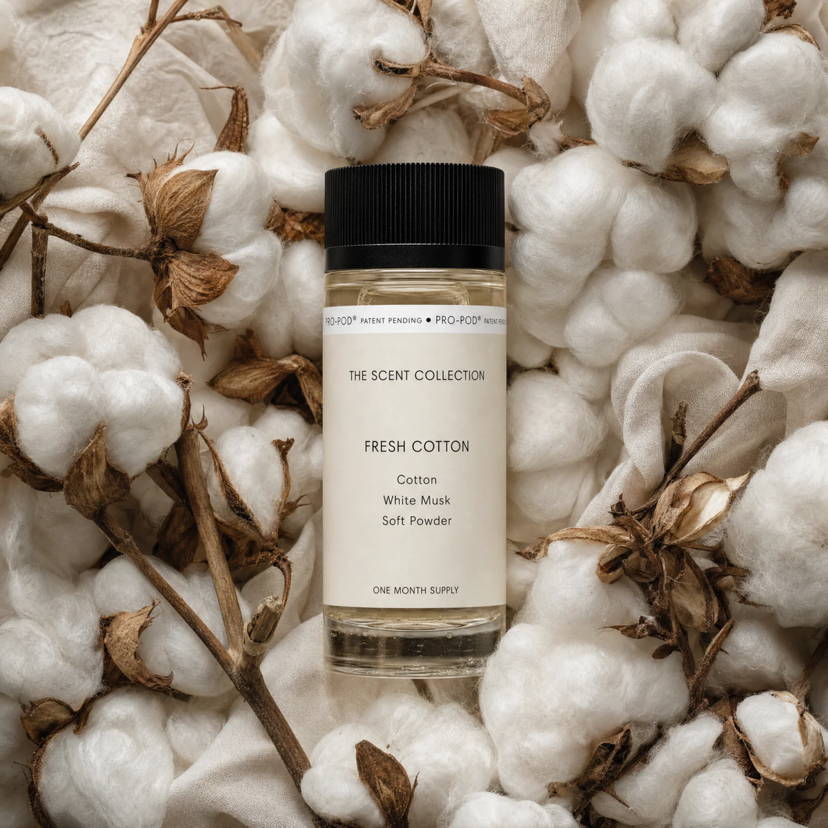 Fresh Cotton