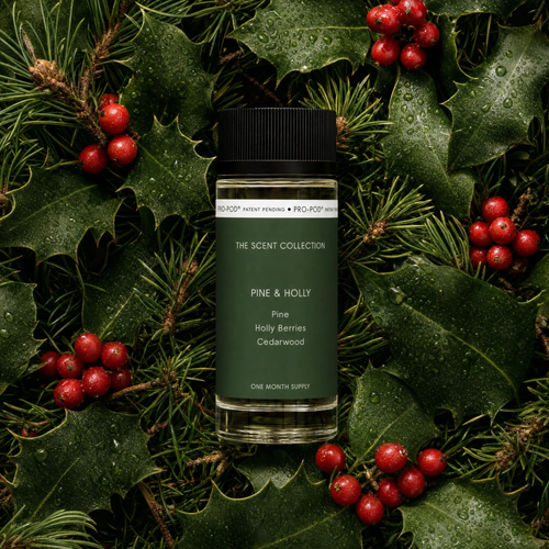 Pine & Holly